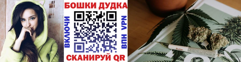 Бошки Шишки конопля  Саяногорск 